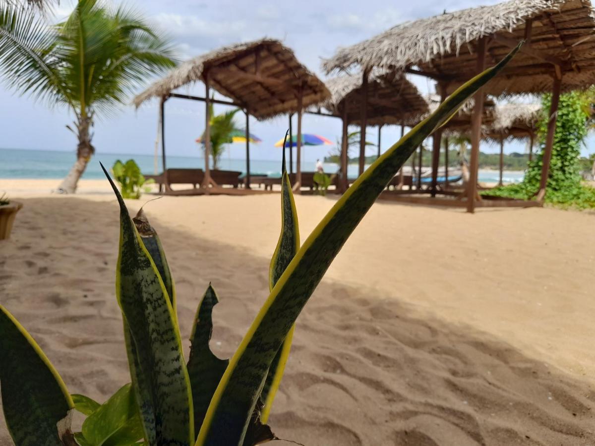 Golden Beach Chalets Arugam Bay Exterior foto